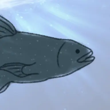Profile image of Shira-ji
