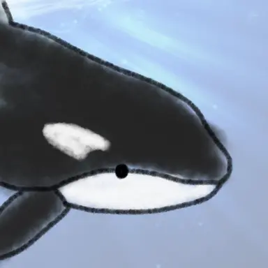 Profile image of Shachi