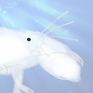 Profile image of Ebi