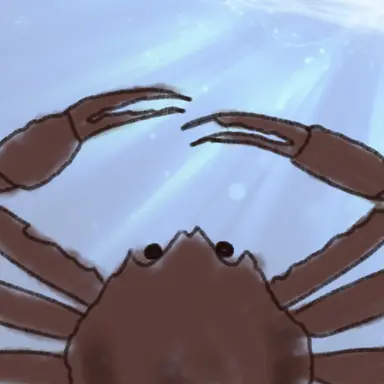 Profile image of Kani