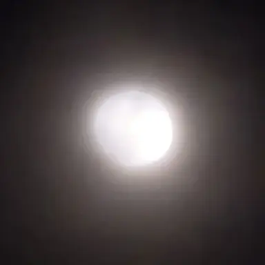 Profile image of 프리클 레베클로