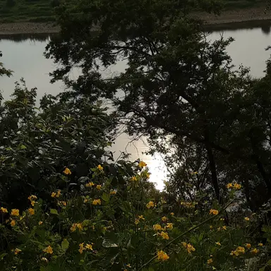 Profile image of 최립우