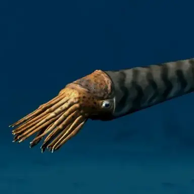 Profile image of 카메로케라스