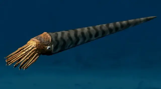 Profile image of 카메로케라스