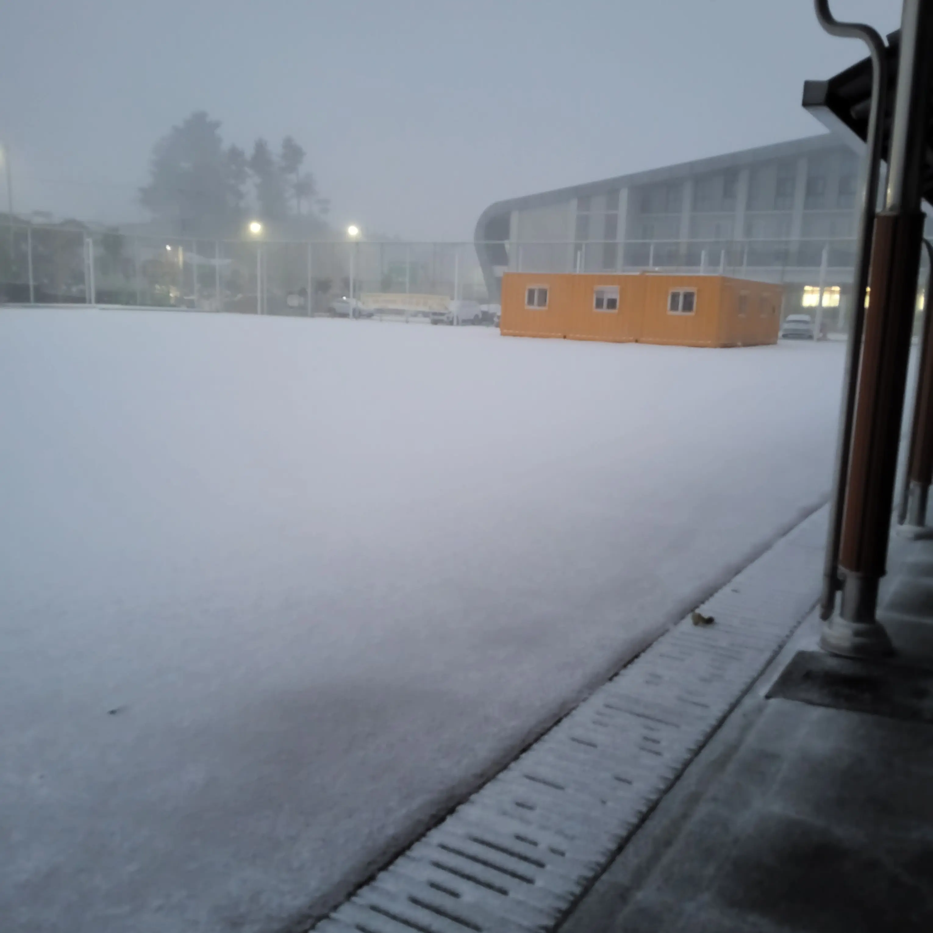 EarlyLeg6240의 응답하라 1988