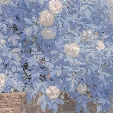 Profile image of 최여우