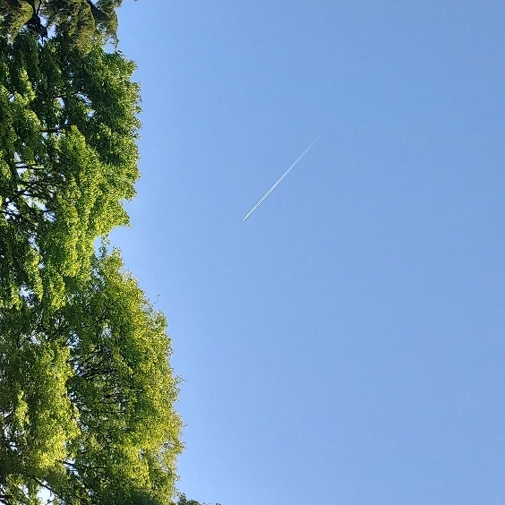한여주