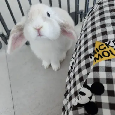 Profile image of 우참