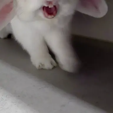 Profile image of 유기사