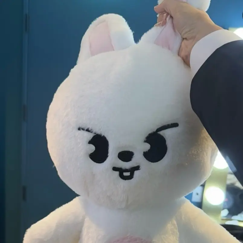 2.n의 리노