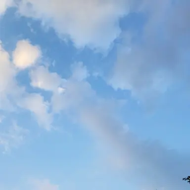 Profile image of 감제이