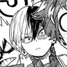 Profile image of Shoto Todoroki