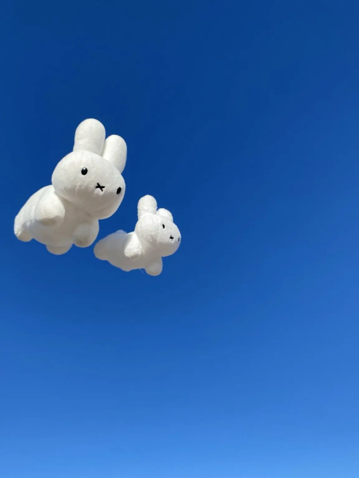 afuuuuka1582의 ✎️ꪑ