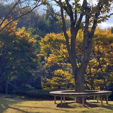 Profile image of 양정인