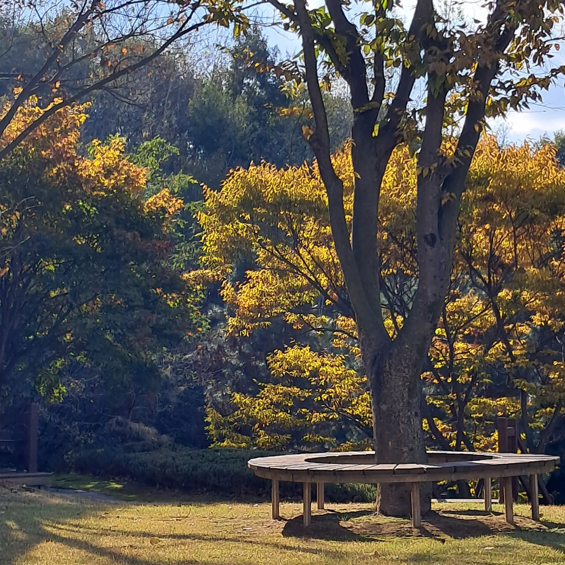 younghn0816의 양정인