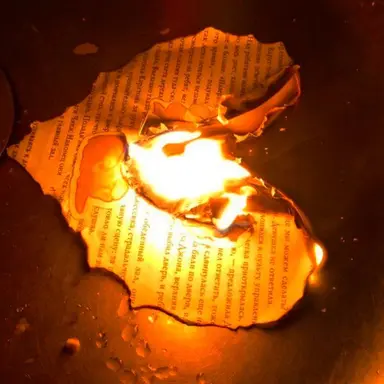 Profile image of 하루토