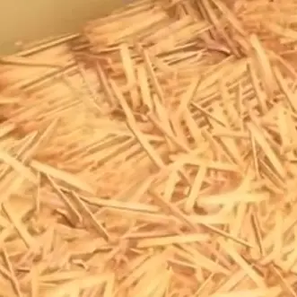 Profile image of ブリ子