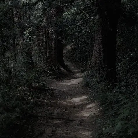 skerrrrrrrrrr의 계약.