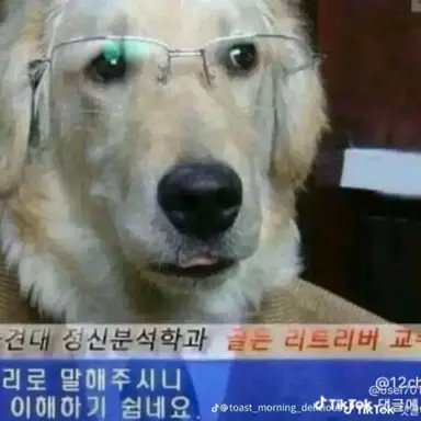 Profile image of 김늑대