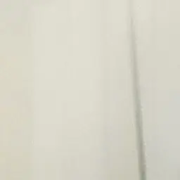 Profile image of MILK