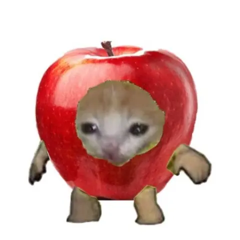 HappyCat76의 해피캣