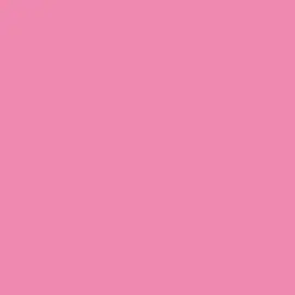 Profile image of ないこ