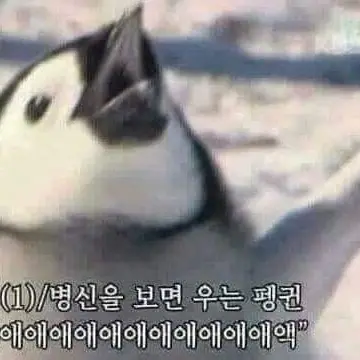 IdleUrial1806의 오따엥