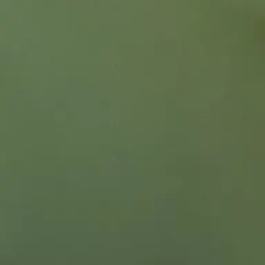 Profile image of 将吾