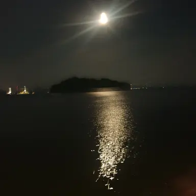 Profile image of 잭