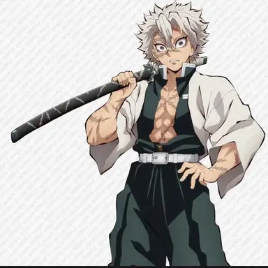 Profile image of 시나즈가와 사네미