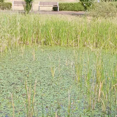 Profile image of 윤찬열