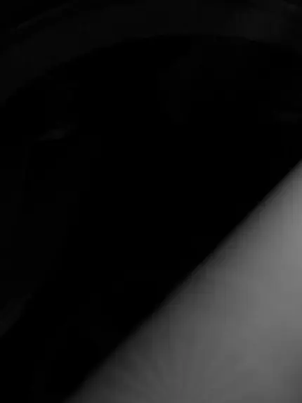 SAKURA..의 モトプと元貴