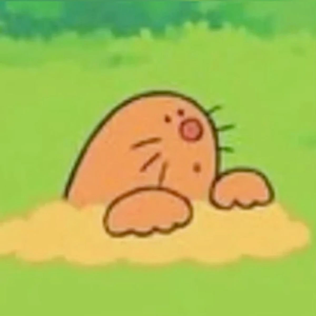 김다뚱