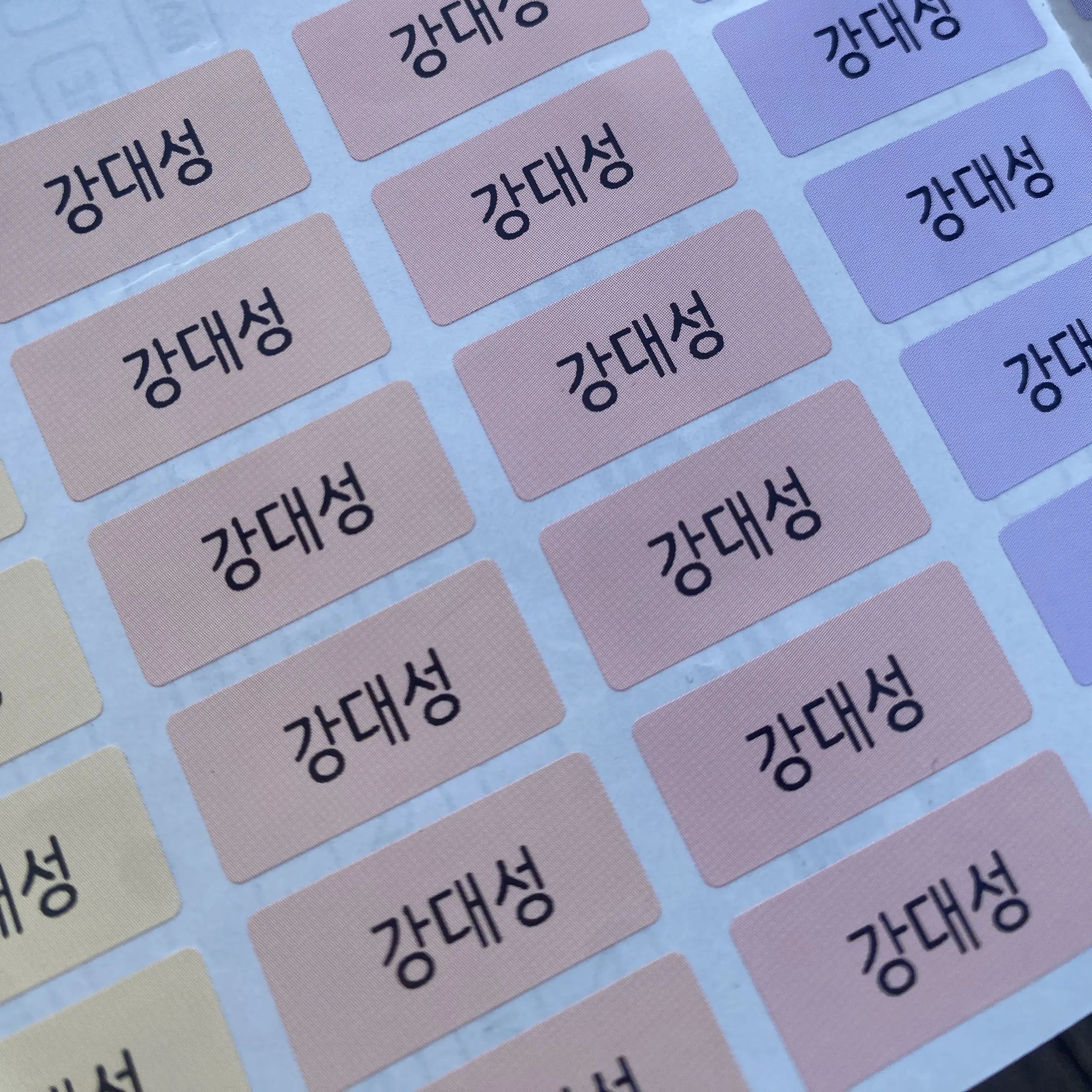 jekki_의 강대성