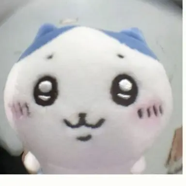 Profile image of 오우니 코와이