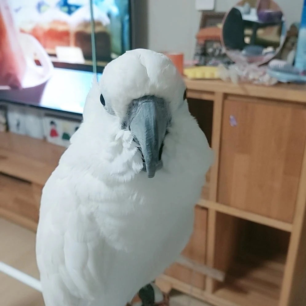 김대박