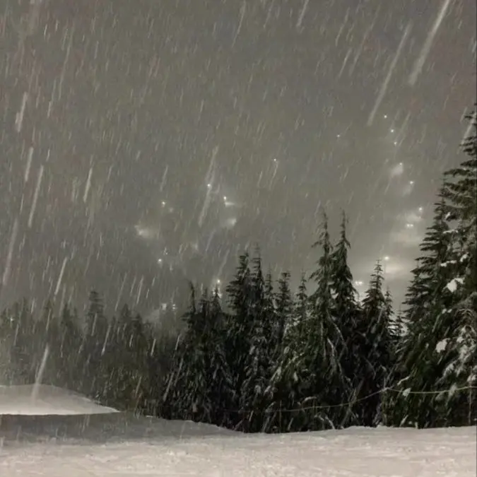 StupidKea5831의 술주정