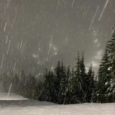 Profile image of 샤이보이토비