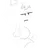 이름 못 정했음