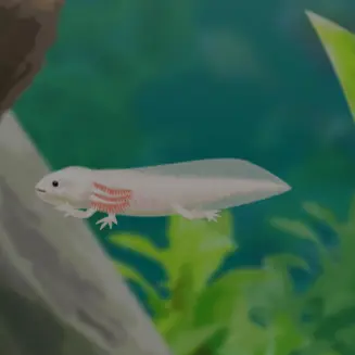 Profile image of 강.태.현