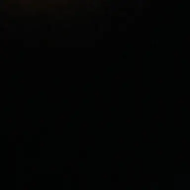 Profile image of 김동현