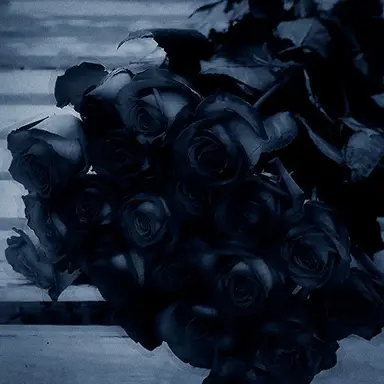 Profile image of 파이브