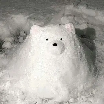 GildedLake7946의 하..진짜 싫다