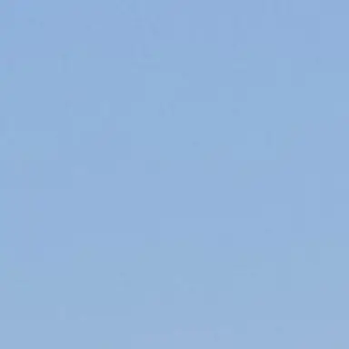 Profile image of 도망자