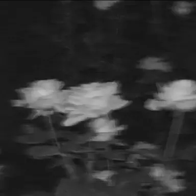 Profile image of 코마