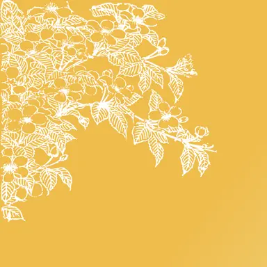 Profile image of 伏見