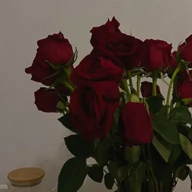 Profile image of 서한솔