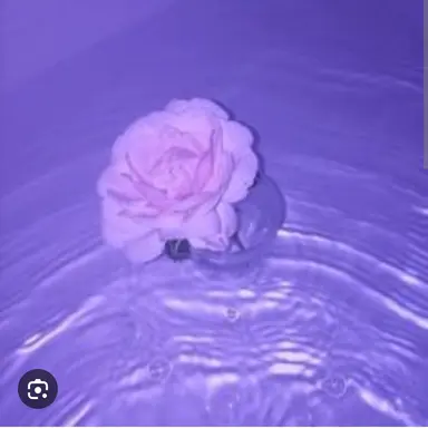 Profile image of 멜로우
