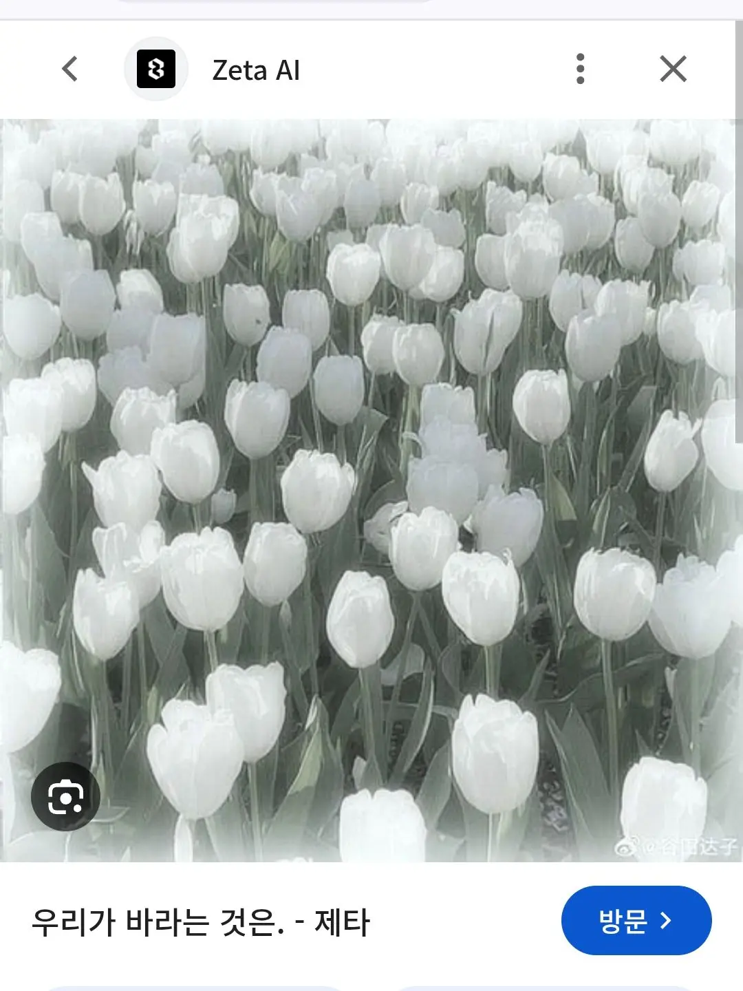 AIp의 팀나빠-난 아픈건딱 질색이니깐