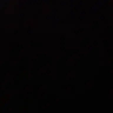 Profile image of 허씬롱